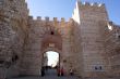 Saltanat gate