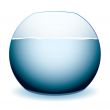 fish bowl