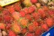 Litchi