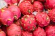 Dragonfruit