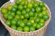 Limes