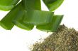 aloe vera - alternative therapy