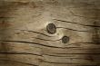 Old Wooden Texture / background
