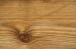 Wood Texture / background