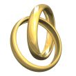 wedding rings in gold 3D