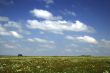 Real meadow and sky / summer  background / grazed horse