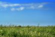 Real meadow and sky / summer background