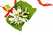 Snowdrops