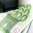 euro and a leather purse