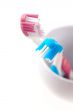 two toothbrushes