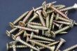 chipboard screws