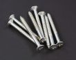 screws