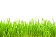 green grass