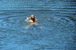 single female figure in wide water surface