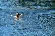 single female figure in wide water surface