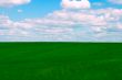 field and blue sky