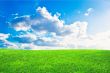 Green grass and blue cloudy sky