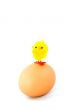 little chicken standing on top of an egg