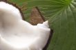 open coconut and resh green leaf