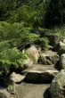 stone stairs. summer scenic