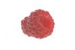 raspberry