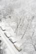 Winter parking car