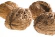 walnuts