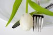 tulip,knife and fork