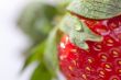 Macro of Strawberry