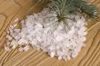 pine bath items. alternative medicine