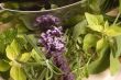 chopping fresh herbs.