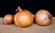 three onions