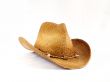 Cowboy hat