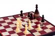 Chess and the king on coins