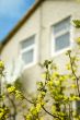 springtime