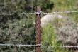 Two strands of barbed wire fence
