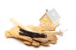Hammer, Gloves, Nails and House
