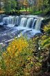 Falls in wood