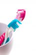 two toothbrushes