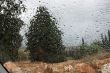 Rainy landscape in car window