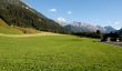 Alpine meadows landscape