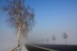 snow field in fog