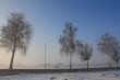 snow field in fog