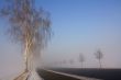 snow field in fog