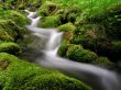 Mountain Stream