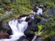 Mountain Stream