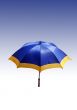 Beach umbrella