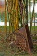 Chinese Wheelbarrow in Singapore