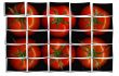 tomato puzzle collage