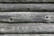 Wooden surface